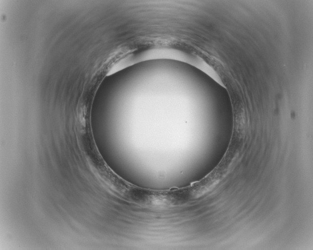 X0000087740264200705211020