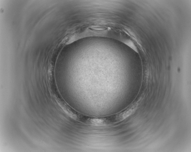 X0000087740265200705211020