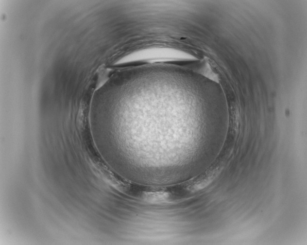 X0000087740266200705211020