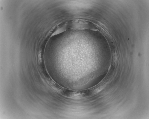 X0000087740267200705211020