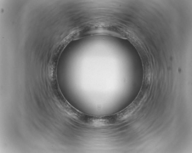 X0000087740268200705211020