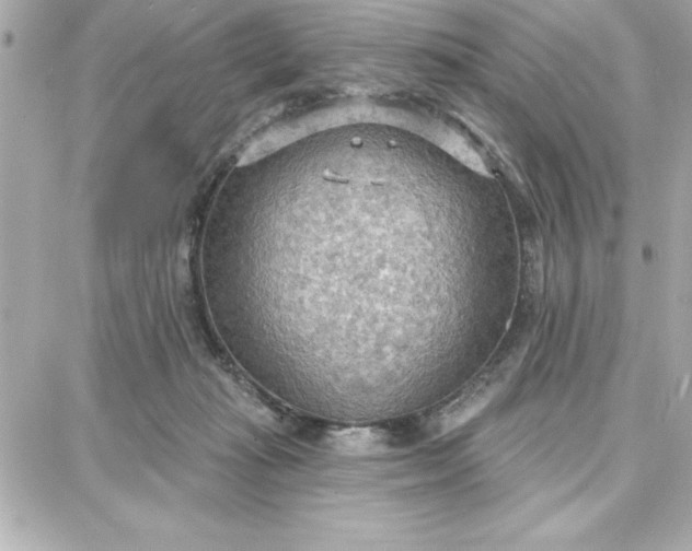 X0000087740269200705211020