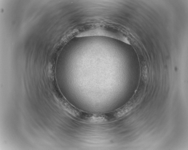 X0000087740270200705211020