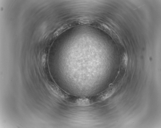 X0000087740271200705211020