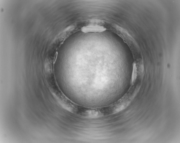 X0000087740272200705211020