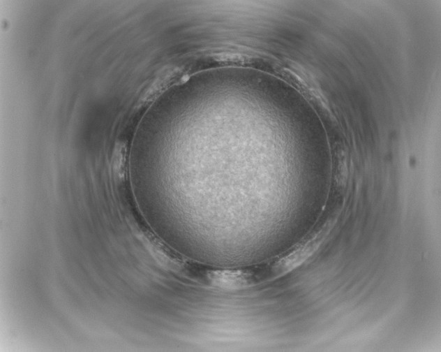 X0000087740273200705211020