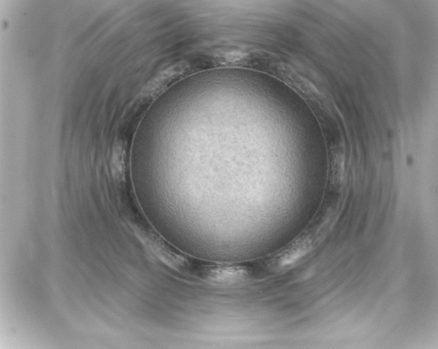 X0000087740274200705211020