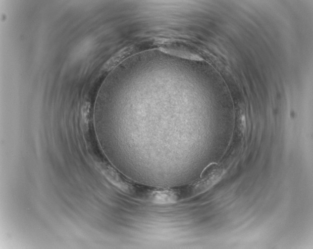 X0000087740275200705211020