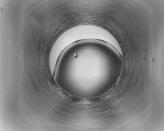 X0000087740276200705211020