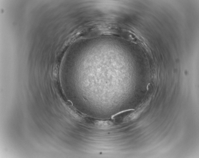 X0000087740277200705211020