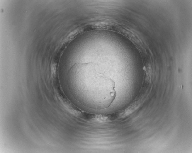 X0000087740278200705211020