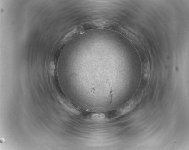 X0000087740279200705211020