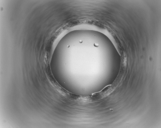 X0000087740280200705211020