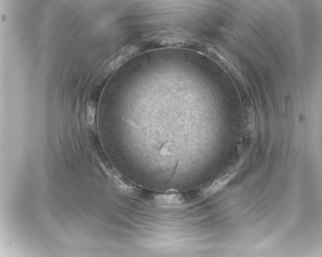 X0000087740281200705211020