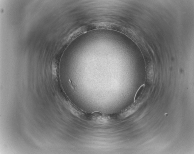 X0000087740282200705211020