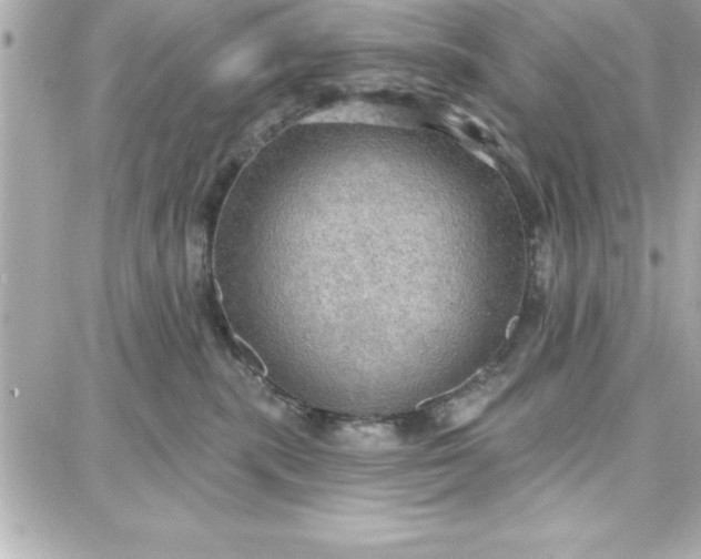 X0000087740283200705211020