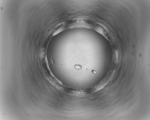 X0000087740284200705211020