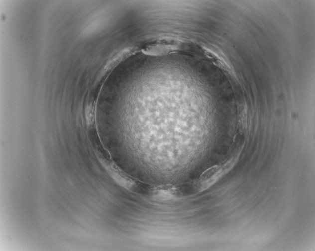 X0000087740285200705211020