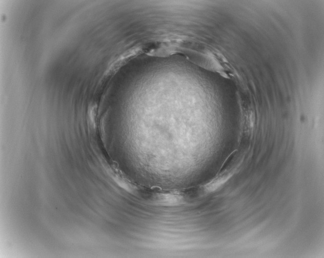 X0000087740286200705211020