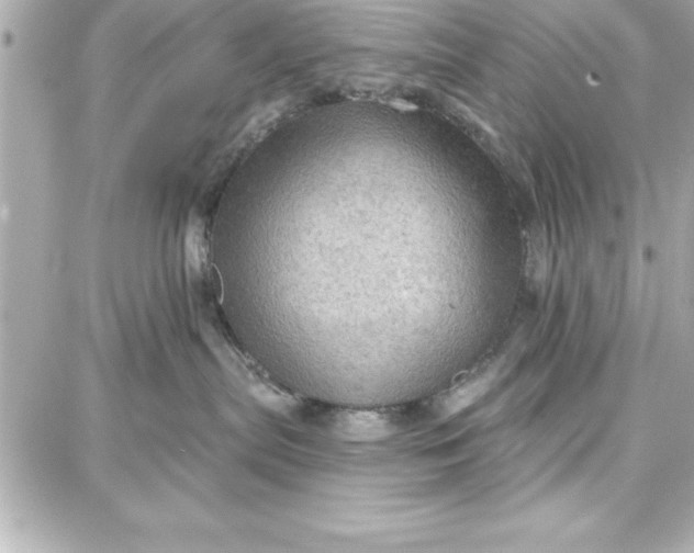 X0000087740287200705211020