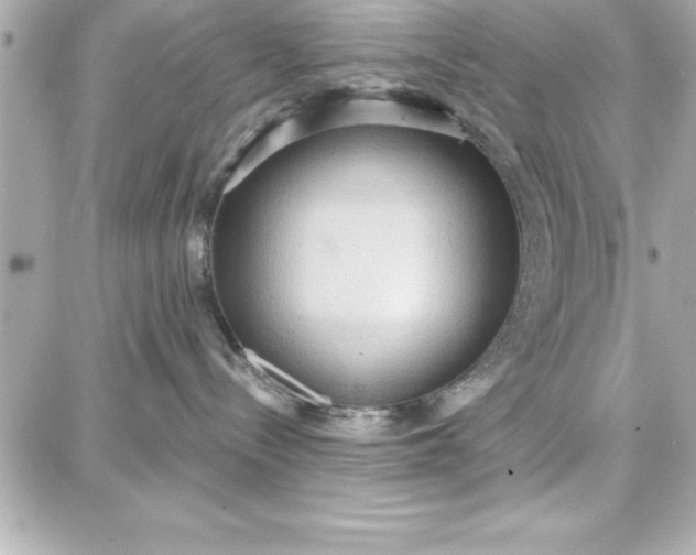 X0000087740288200705211020