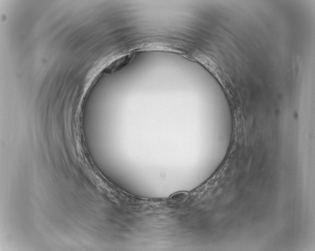 X0000087740289200705211019