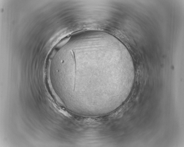 X0000087740290200705211019