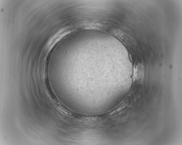 X0000087740291200705211019