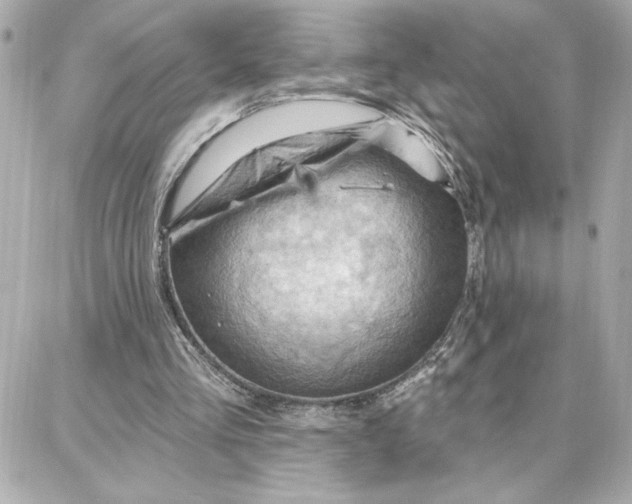 X0000087740293200705211019