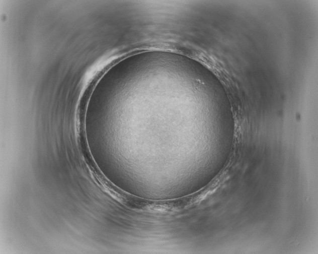 X0000087740294200705211019