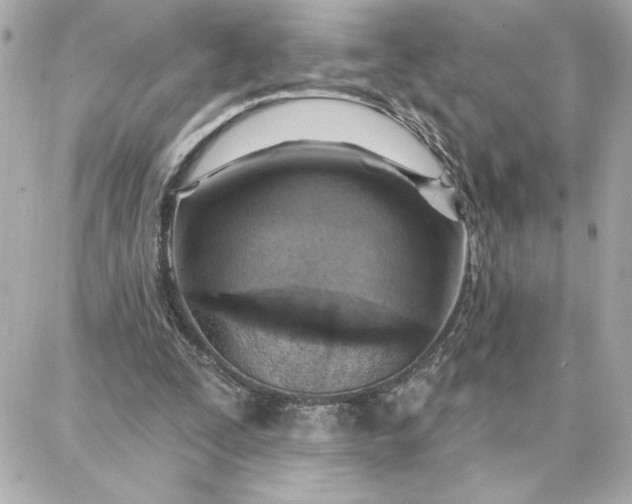 X0000087740295200705211019