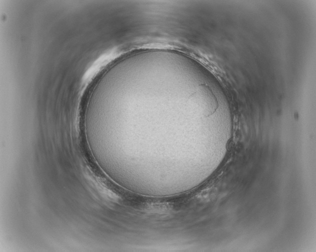 X0000087740296200705211019