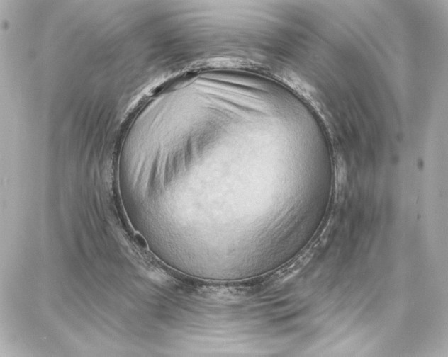 X0000087740297200705211019