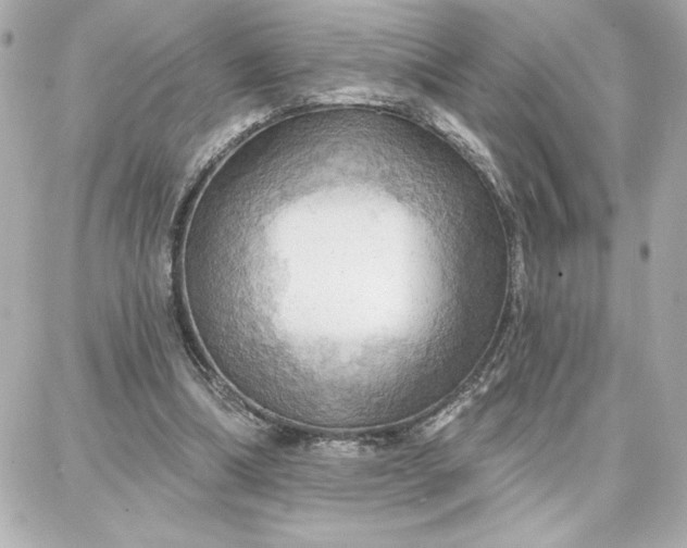 X0000087740298200705211019