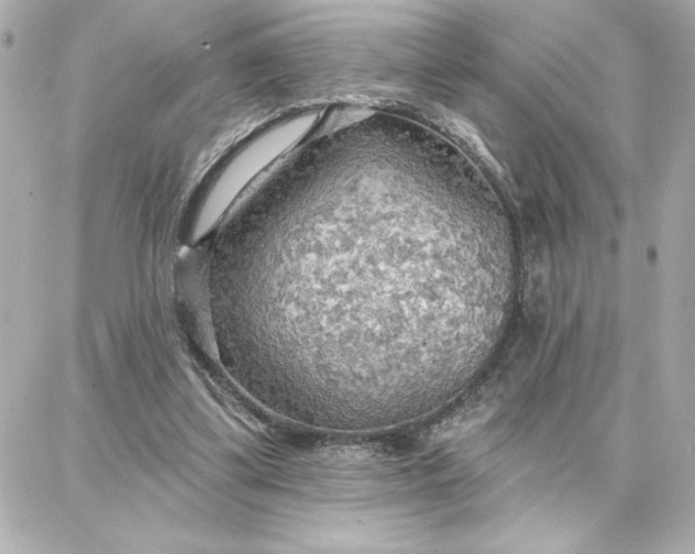 X0000087740299200705211019