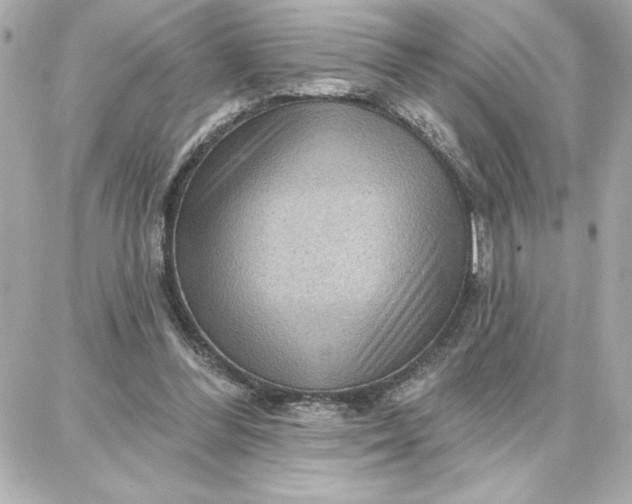 X0000087740300200705211019