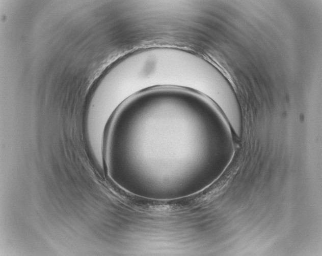 X0000087740301200705211019