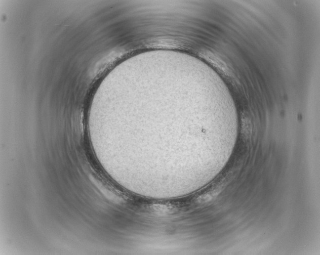 X0000087740302200705211019