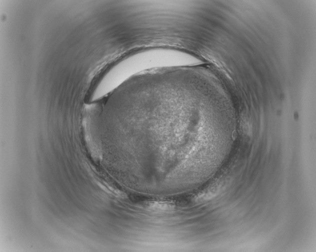 X0000087740303200705211019