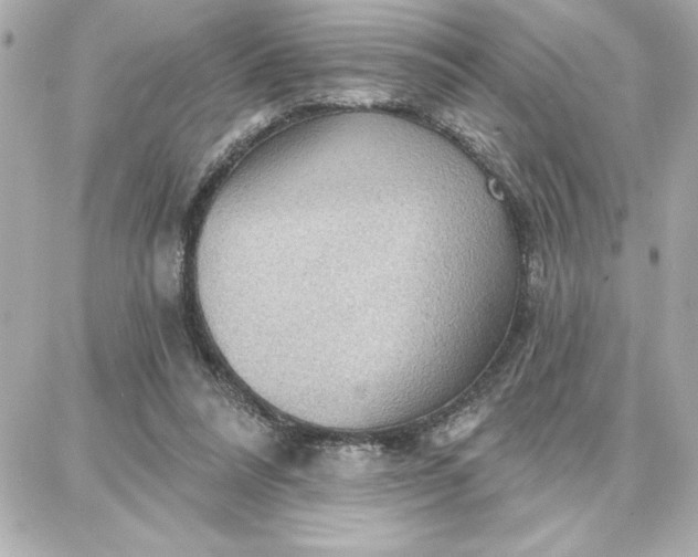 X0000087740304200705211019