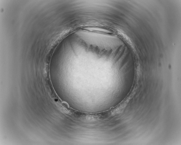 X0000087740305200705211019