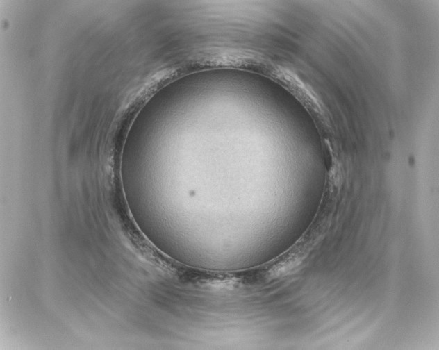 X0000087740306200705211019