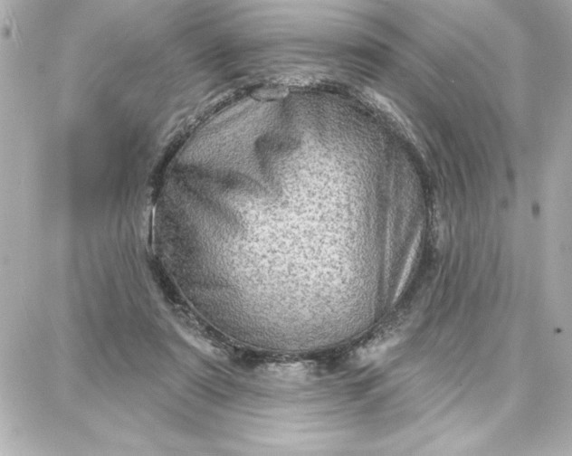 X0000087740307200705211019