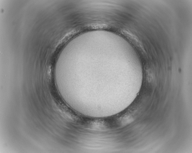 X0000087740308200705211019