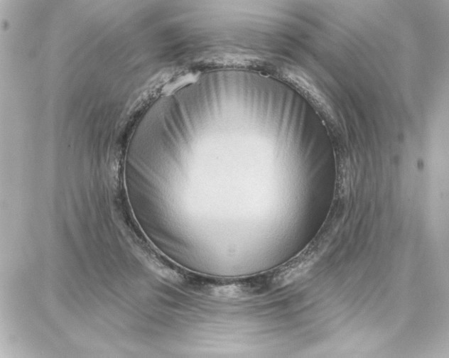 X0000087740309200705211019