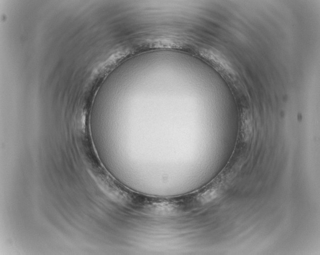 X0000087740310200705211019