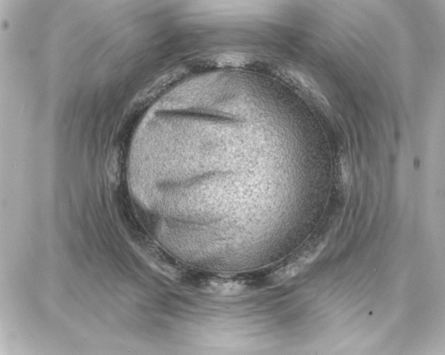 X0000087740311200705211019