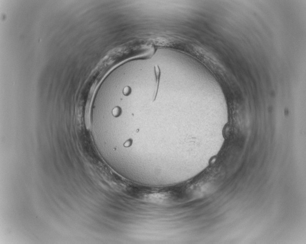 X0000087740312200705211019