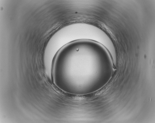 X0000087740313200705211019