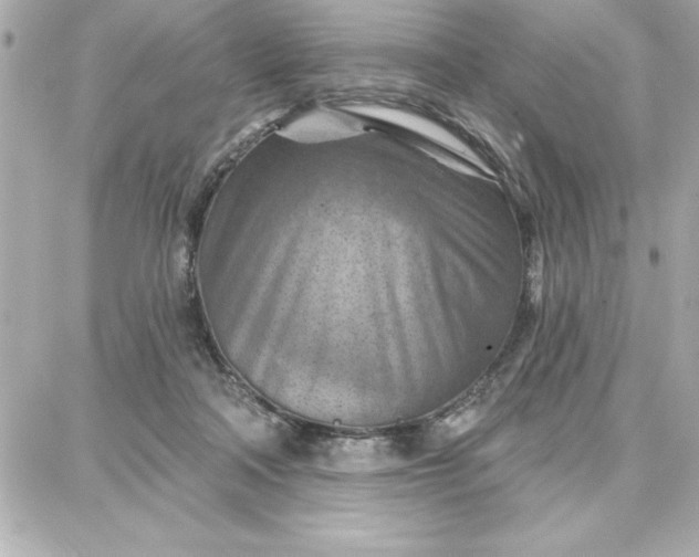 X0000087740314200705211019